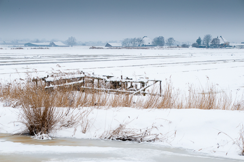 Polder Enge Wormer